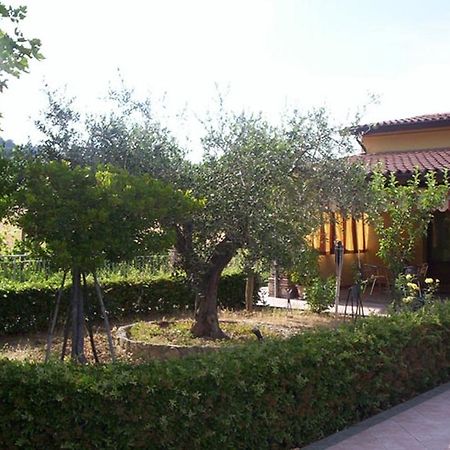 Agriturismo 7 Colonne Βίλα Bertinoro Εξωτερικό φωτογραφία