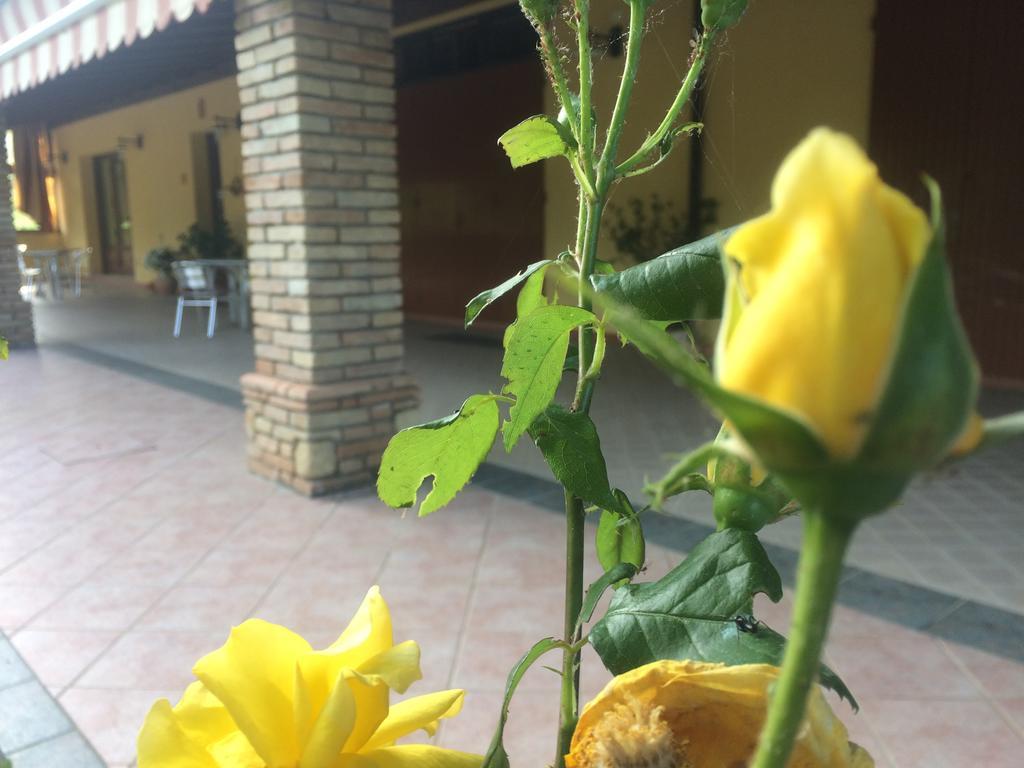 Agriturismo 7 Colonne Βίλα Bertinoro Εξωτερικό φωτογραφία