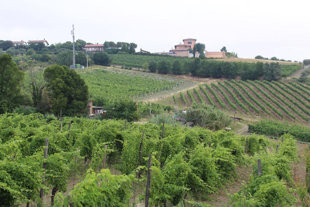 Agriturismo 7 Colonne Βίλα Bertinoro Εξωτερικό φωτογραφία