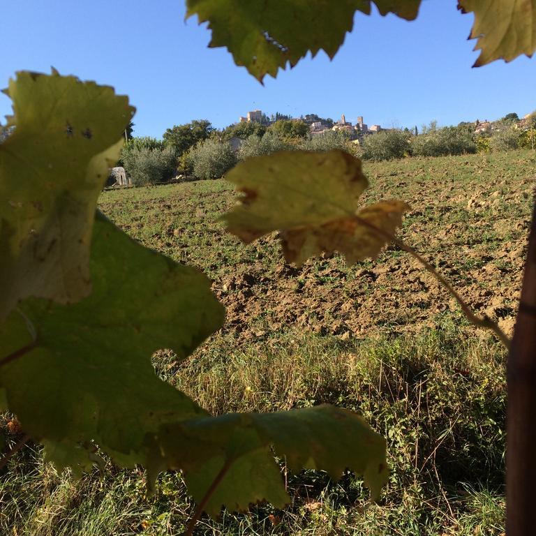 Agriturismo 7 Colonne Βίλα Bertinoro Εξωτερικό φωτογραφία