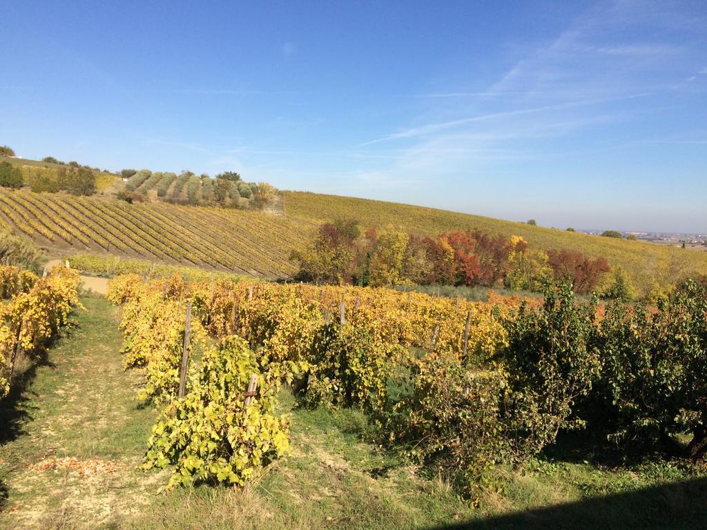 Agriturismo 7 Colonne Βίλα Bertinoro Εξωτερικό φωτογραφία